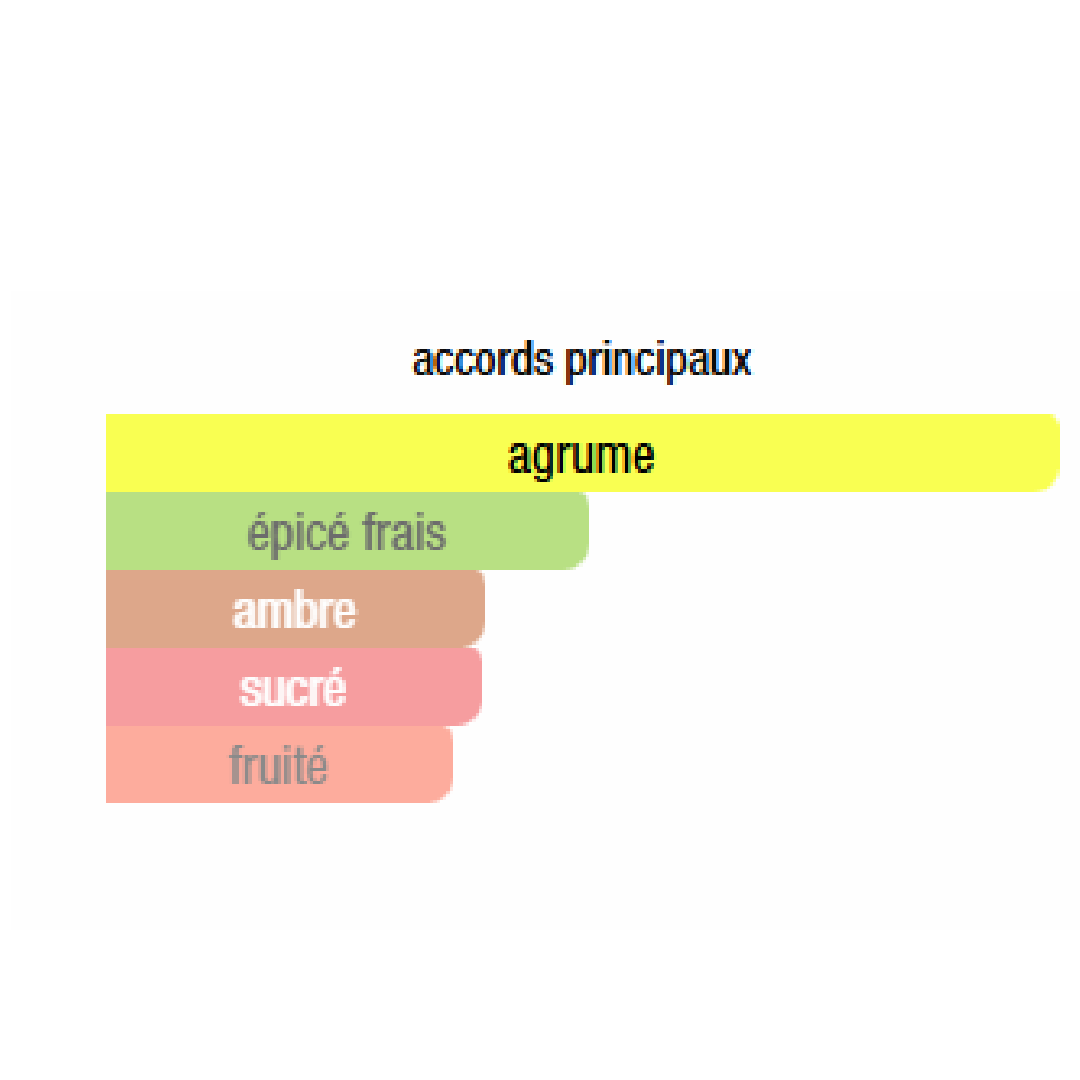 MIDDAY SWIM Parfum - Daily Carry