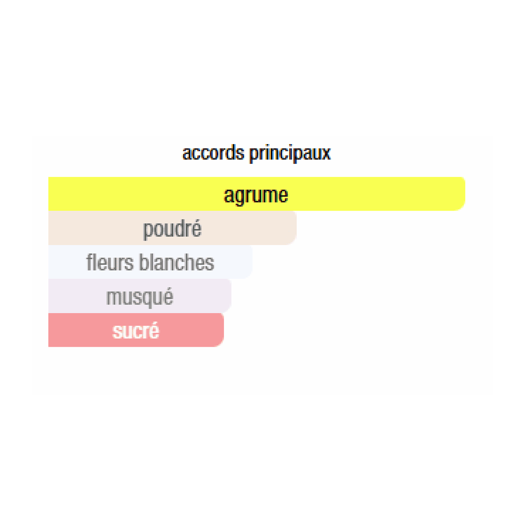 SHINING CITY Parfum - BUSINESS EDITION