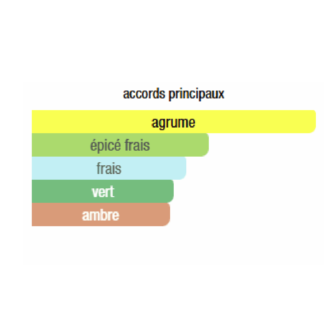 Intimation – La séduction féminine sublimée