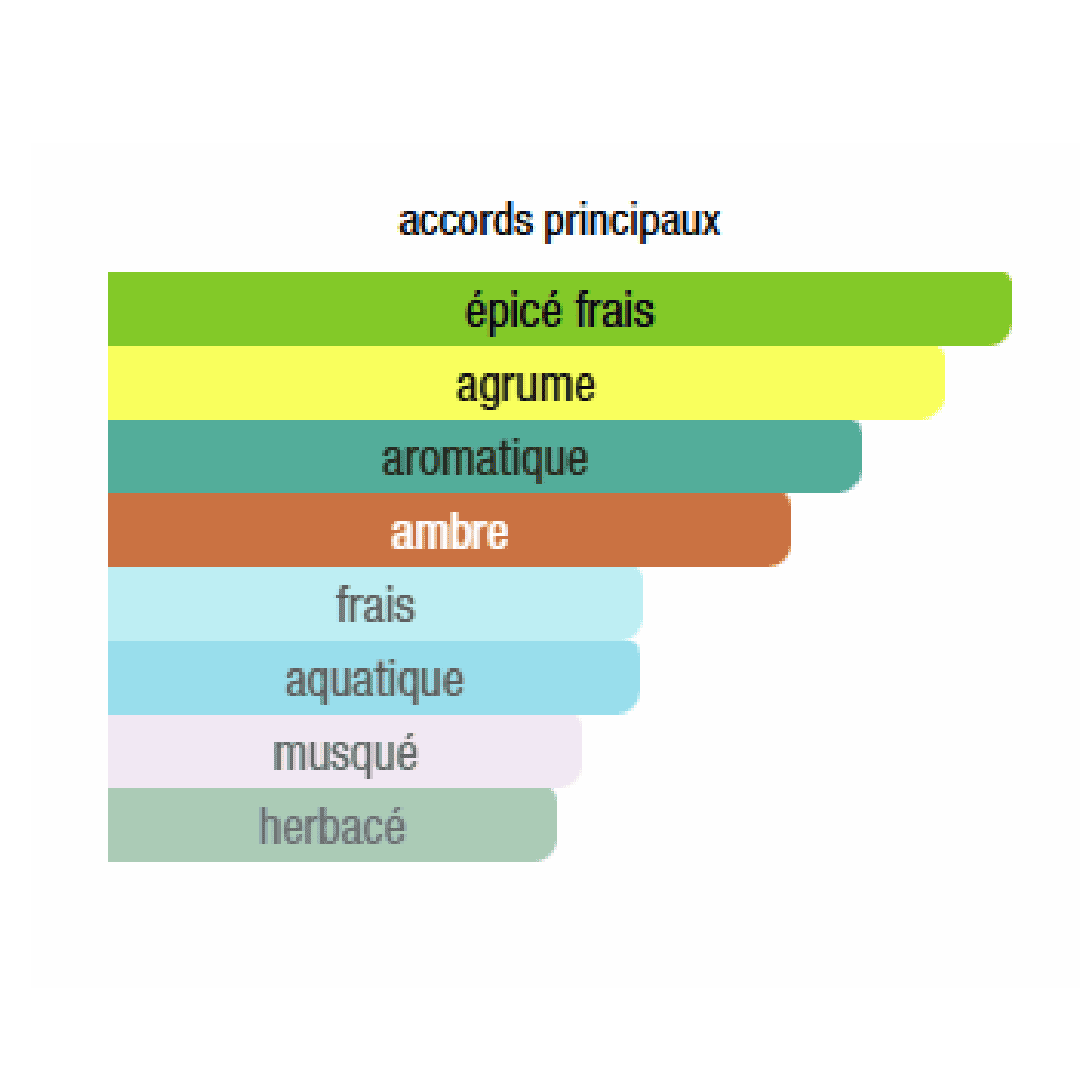 IMMENCITY - La puissance et l’élégance masculine