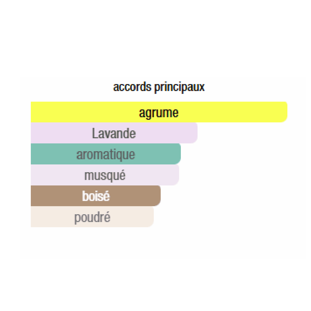 OCEAN BREEZE Parfum - PHERMONE EDITION